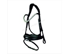 Leather Bridle 